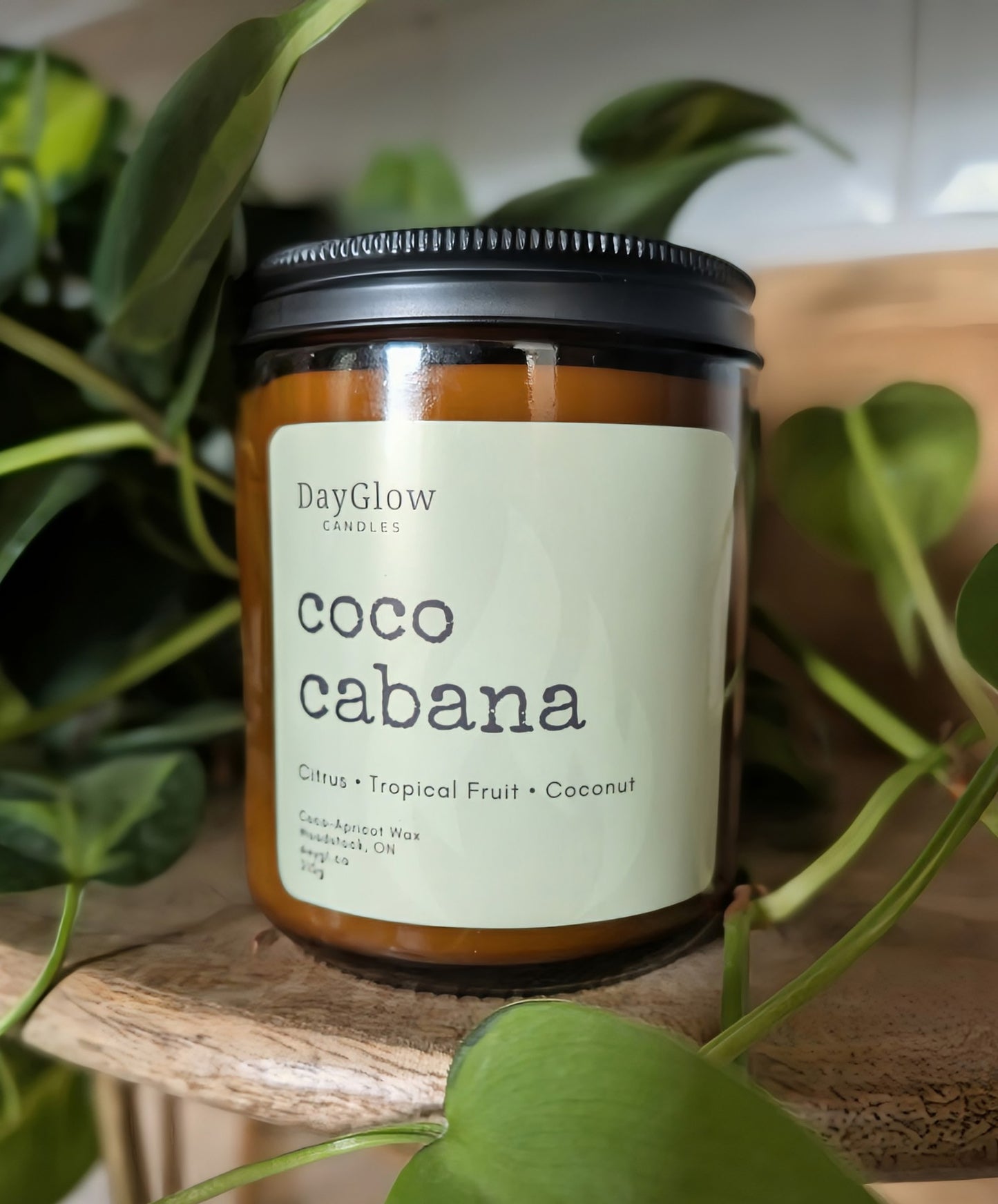 Candles - The Amber Collection